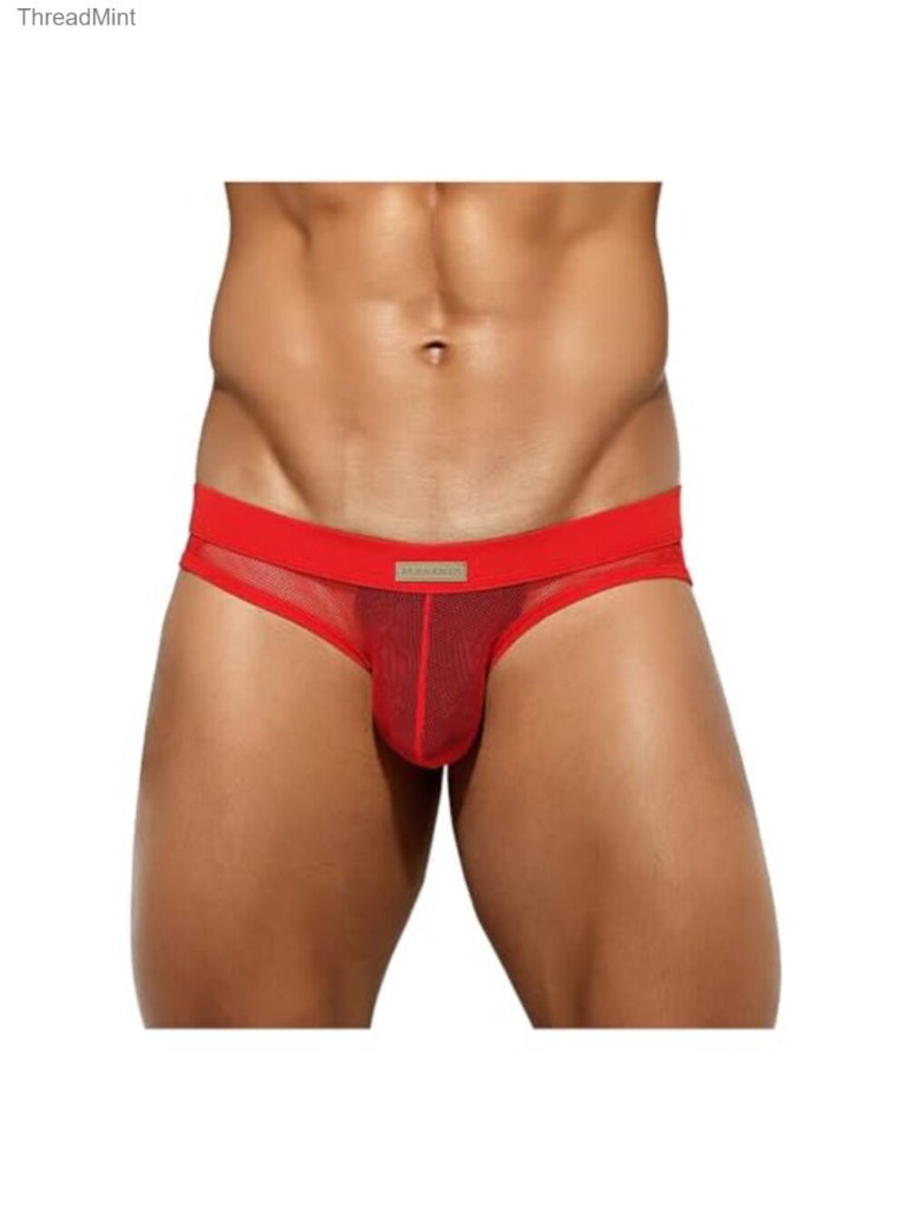 Men's Sexy Briefs Breathable Mesh Low-Rise Stretchy Quick-Dry Underwear